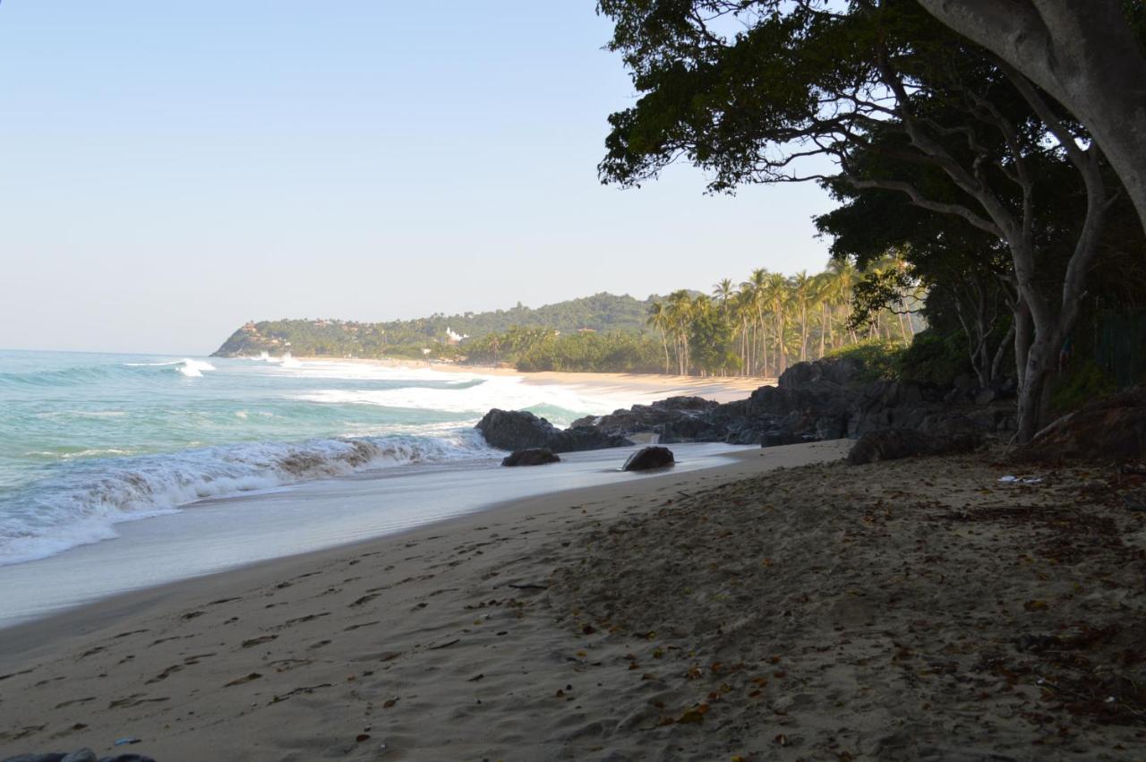 Galeria Suites San Pancho سان فرانسيسكو المظهر الخارجي الصورة